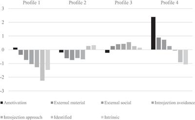 Will They Stay or Will They Go? Motivational Profiles, Retirement-Related Correlates, and Retirement Intentions Among 58–72-Year-Old Workers